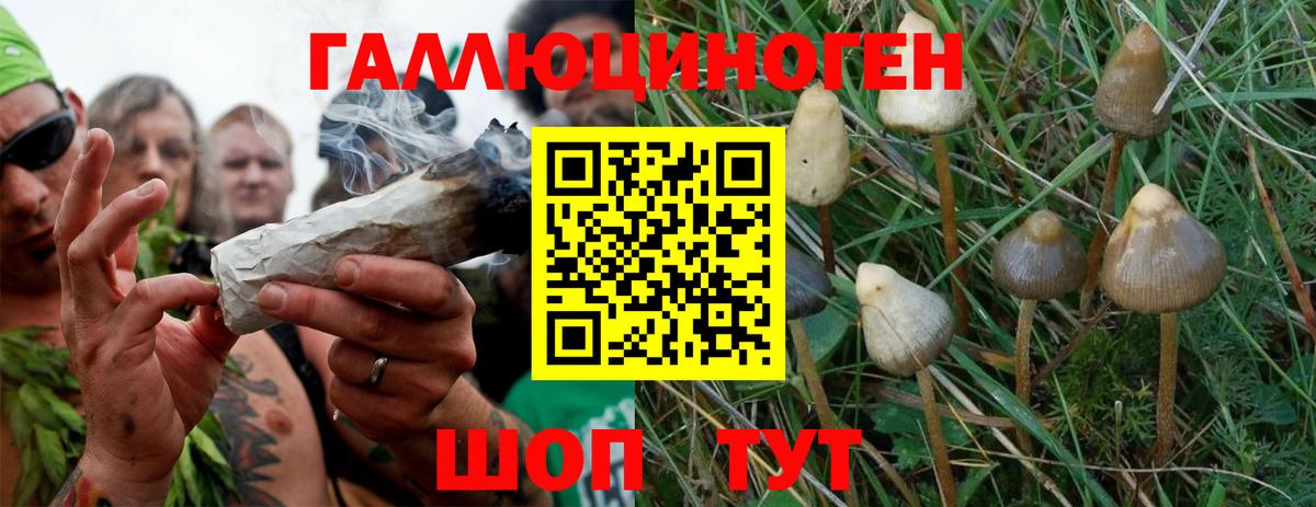 Псилоцибиновые грибы ЛСД Видное