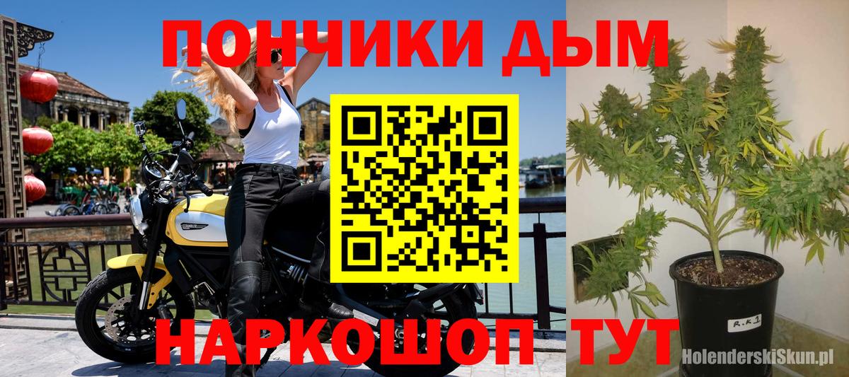 Видное  Конопля ГИДРОПОН  Вход с VPN  Каннабис VHQ  Шишки марихуана индика 